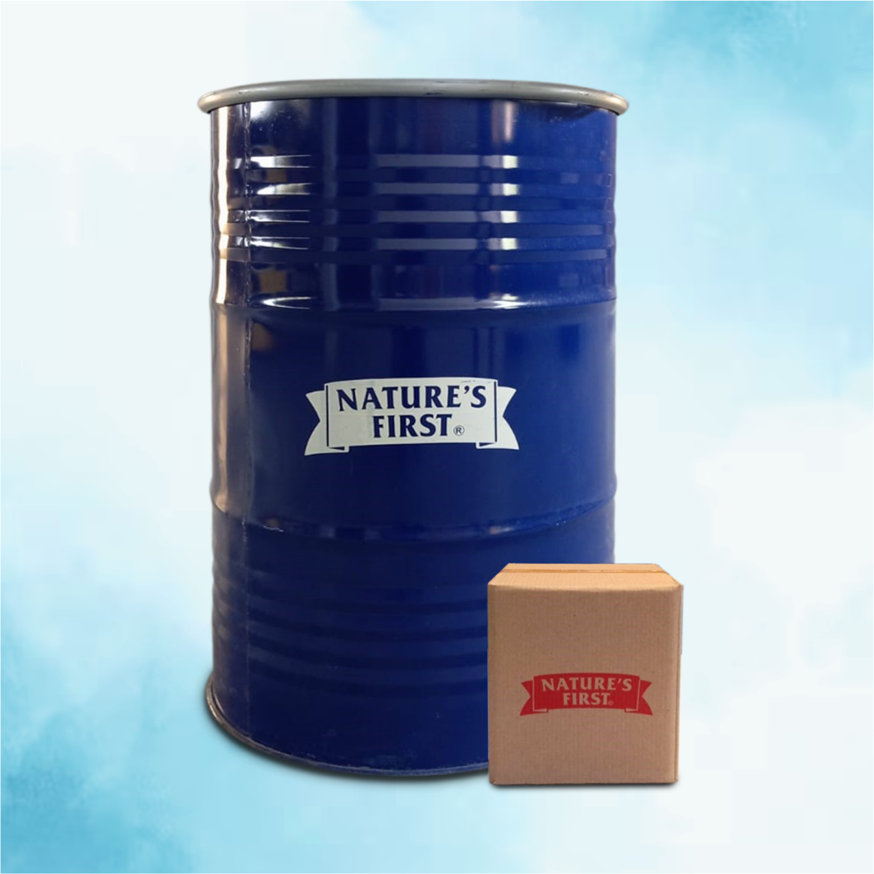 Mango Pulp Barrel & 20 Kg Bag