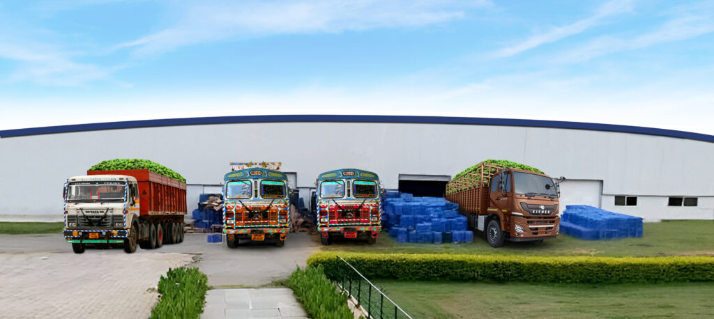 Truck Mango unloading Photo
